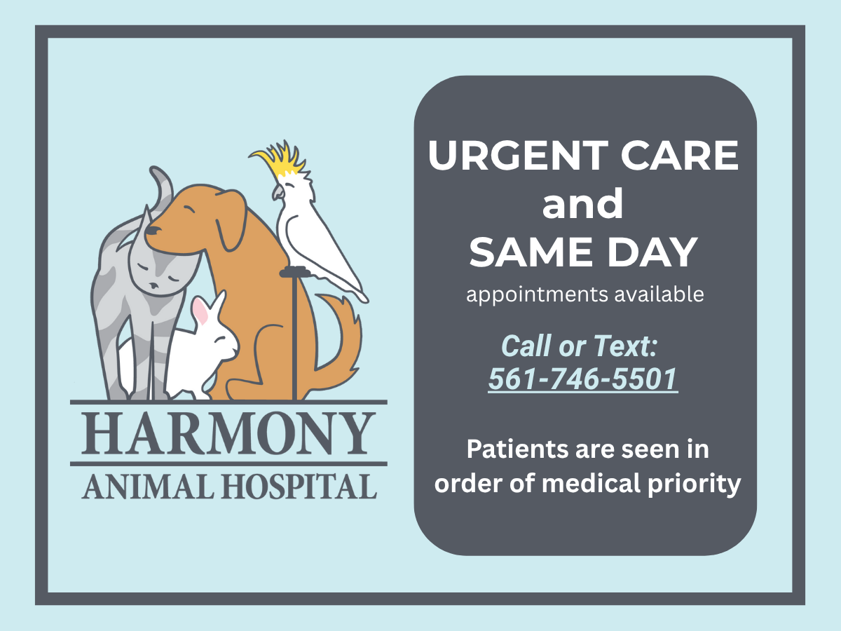 Urgent Care and Same Day Care